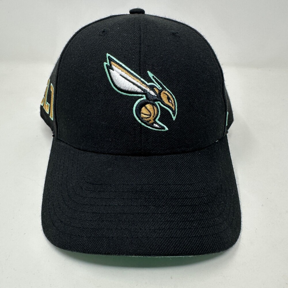 Charlotte Hornets Hat Cap Men Snapback Black '47 Brand CLT Logo Flat Bill NBA